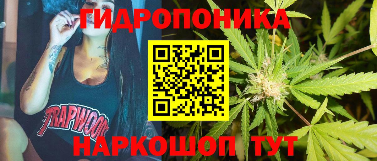 Бошки марихуана гибрид  Шишки марихуана VHQ  Вход с VPN  Новосибирск  Шишки марихуана VHQ 
